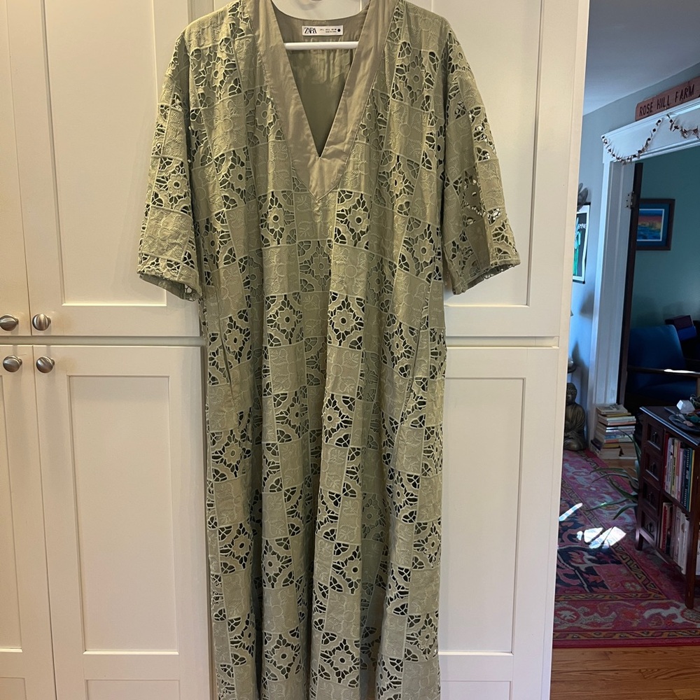 Zara Sage Lace Sleeve Dress